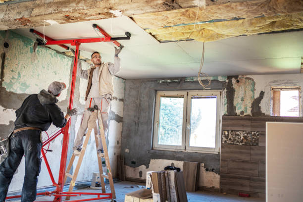 Best Geographic-Specific Insulation Services in Baileys Crossroads, VA