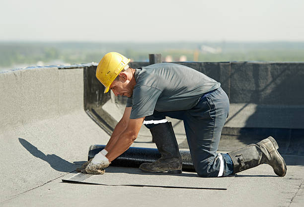 Best Geographic-Specific Insulation Services in Baileys Crossroads, VA