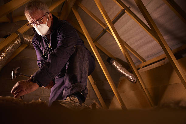 Trusted Baileys Crossroads, VA Insulation Contractor Experts