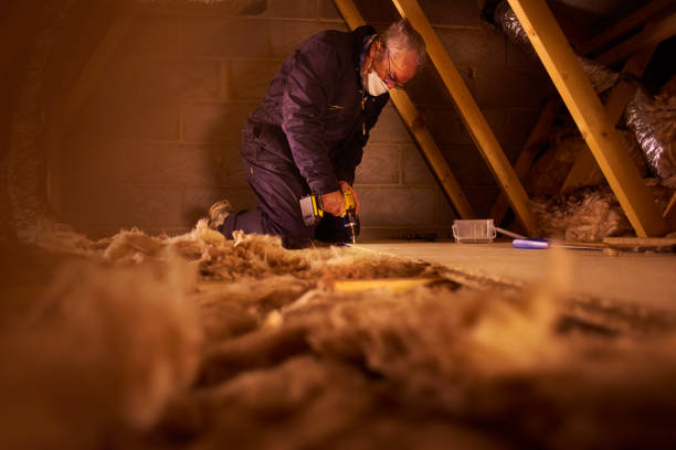 Best Specialized Insulation Services in Baileys Crossroads, VA